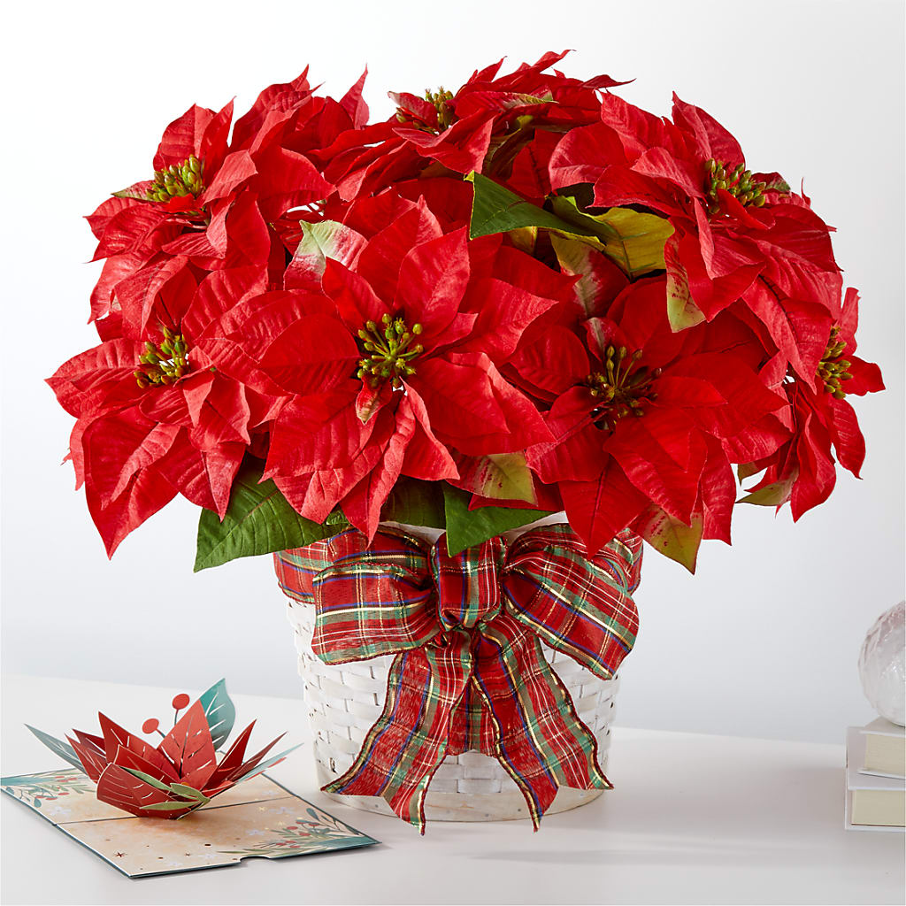 Happiest Holidays Poinsettia and Lovepop Card – Your Beautiful Flowers, Scranton PA