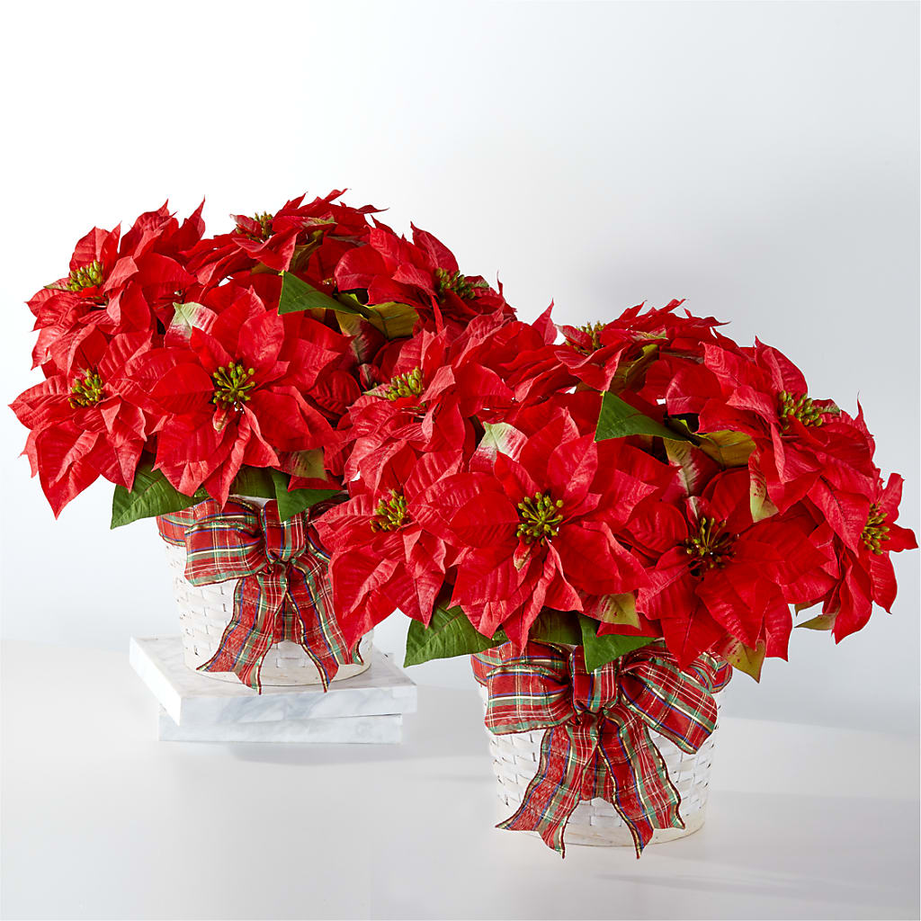 Happiest Holidays Poinsettia Bundle – Your Beautiful Flowers, Scranton PA