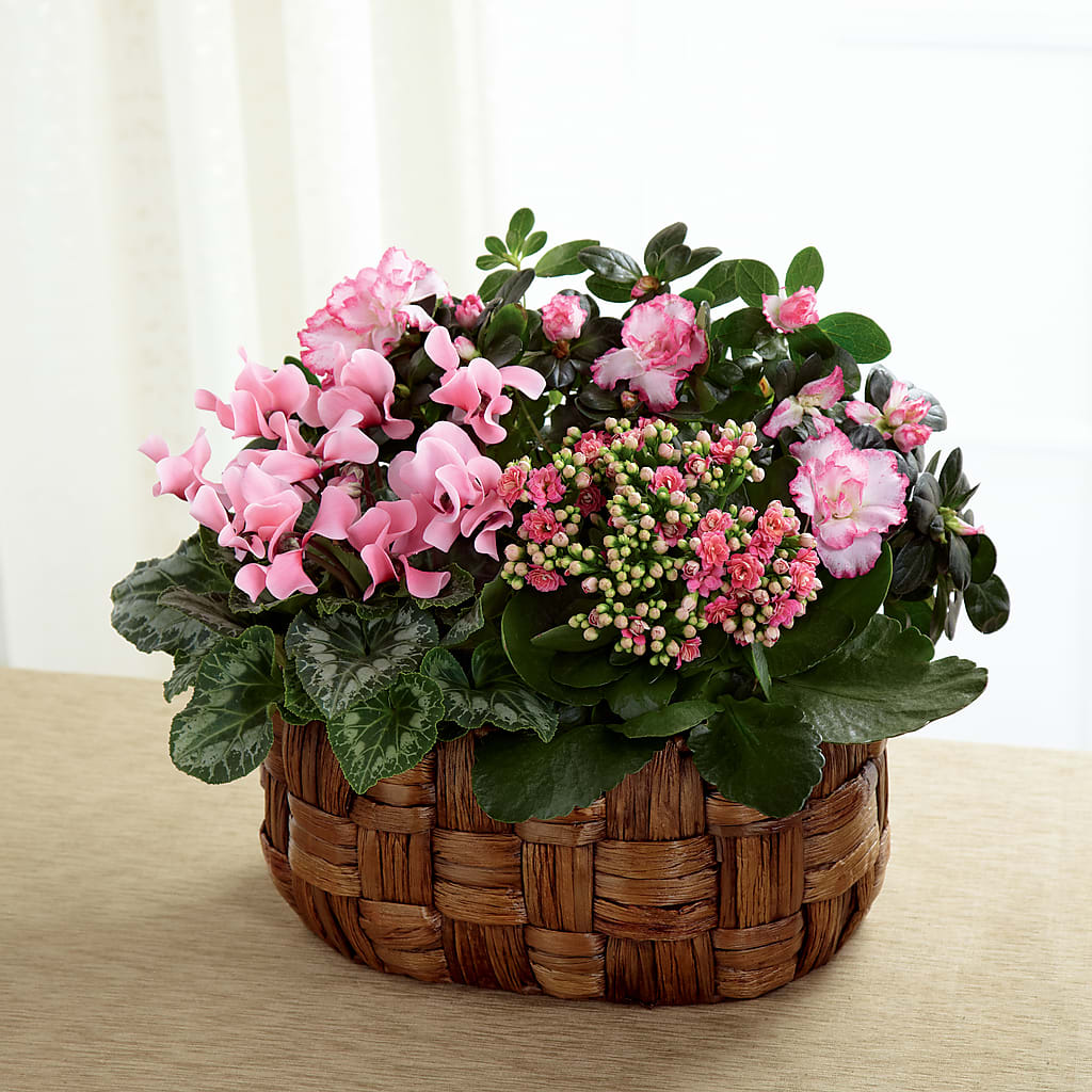 Pink Assortment – Your Beautiful Flowers, Scranton PA