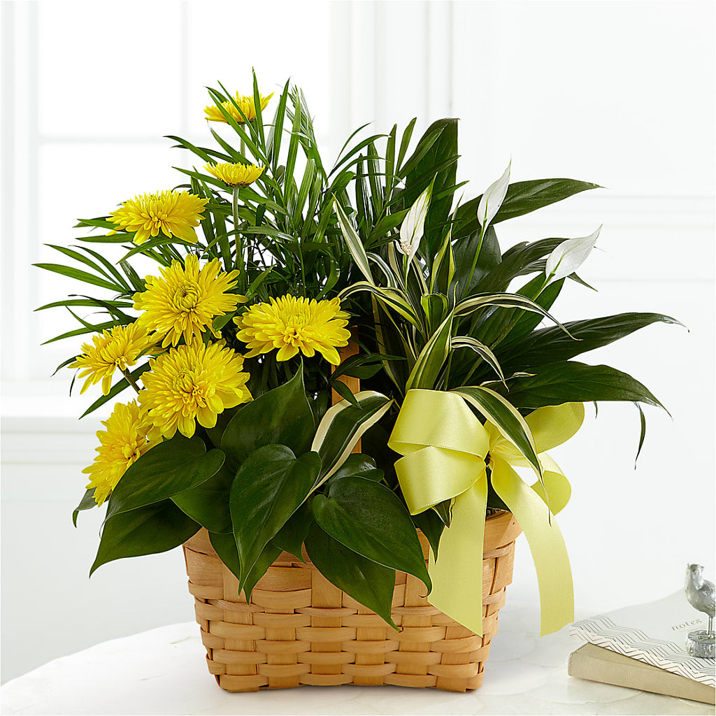 Loving Light Dishgarden – Your Beautiful Flowers, Scranton PA