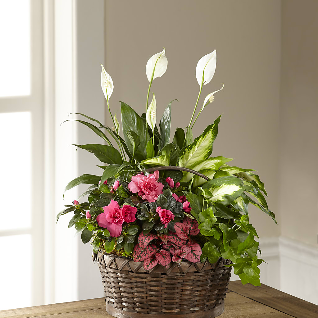 Dream in Pink Dishgarden – Your Beautiful Flowers, Scranton PA