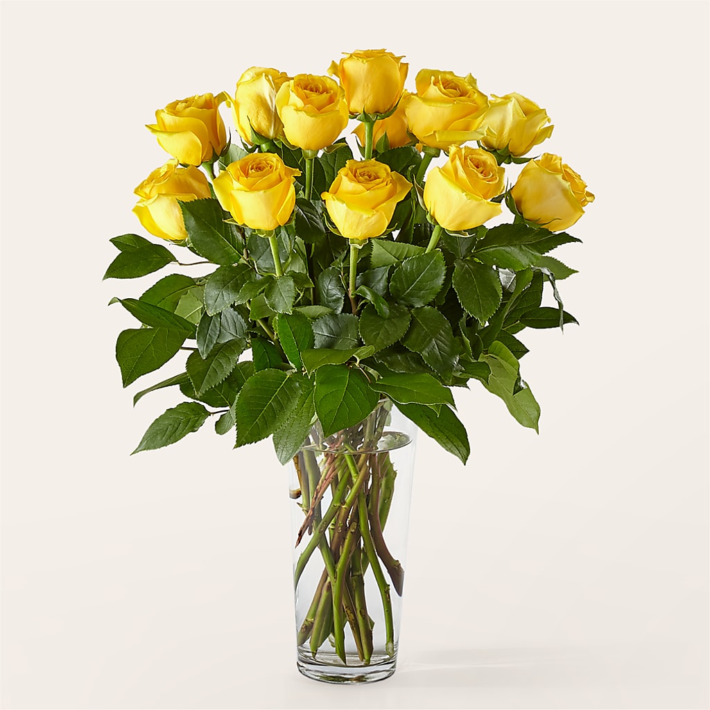 Long Stem Yellow Rose Bouquet – Your Beautiful Flowers, Scranton PA