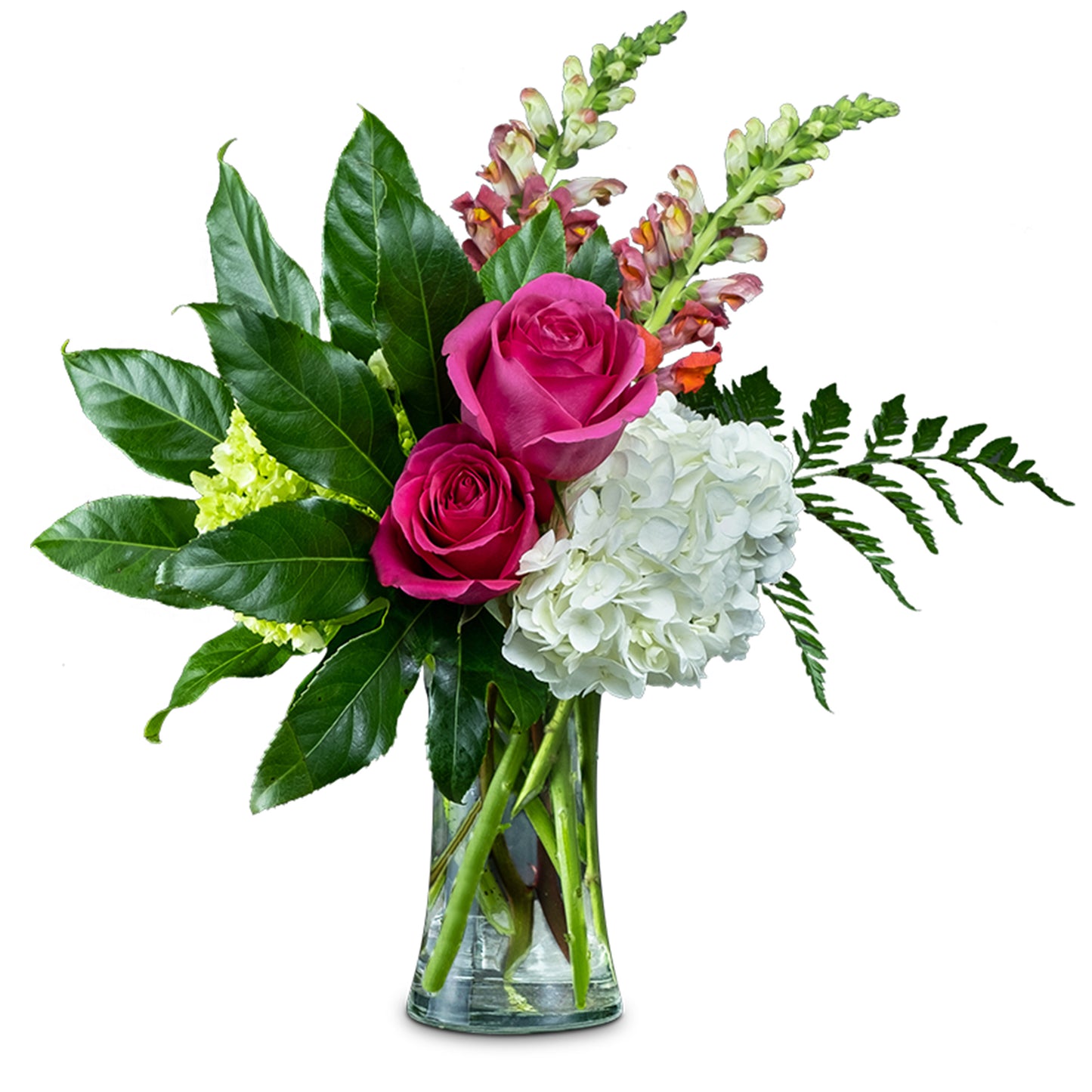 Snappy Birthday – Your Beautiful Flowers, Scranton PA