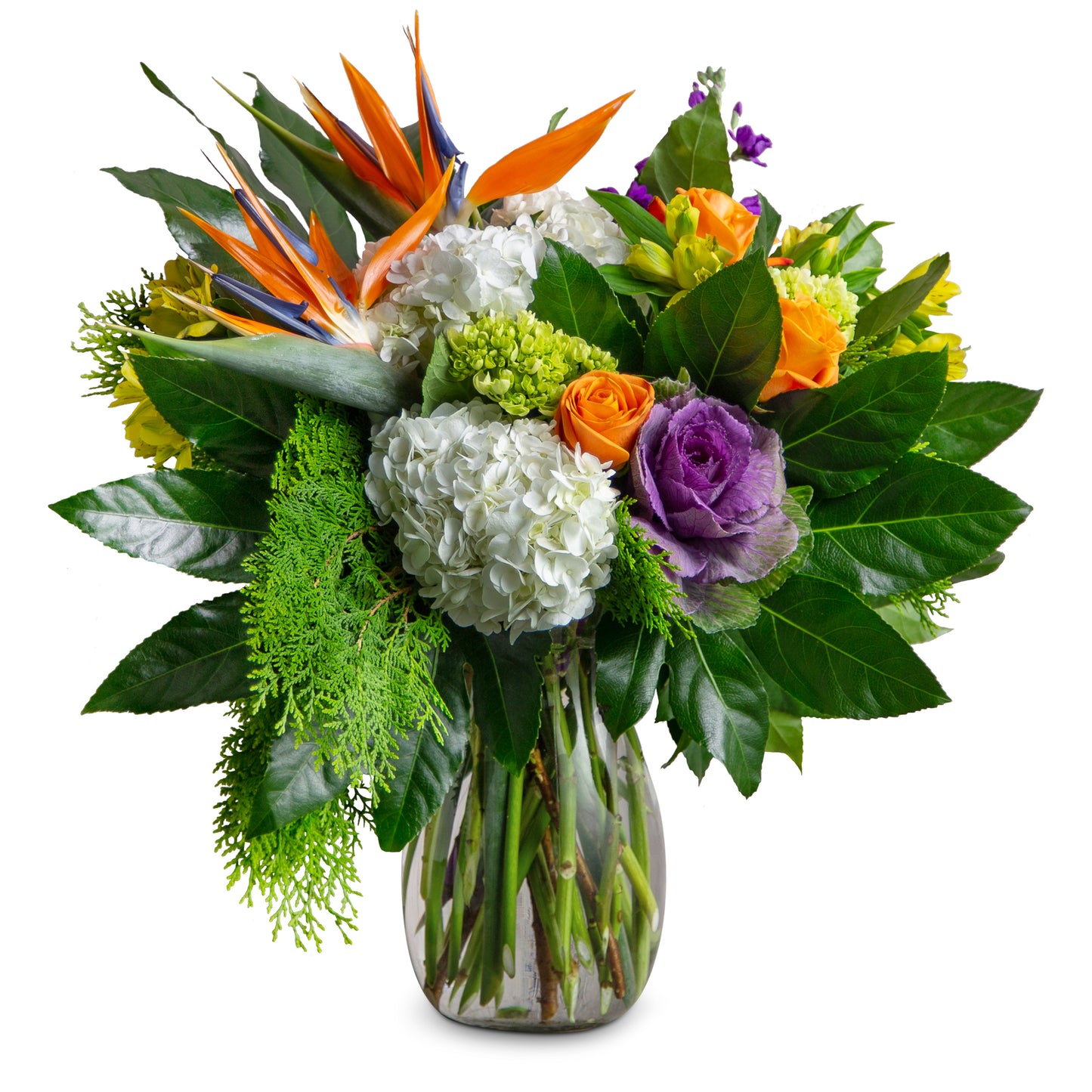 Tropical Blends – Your Beautiful Flowers, Scranton PA