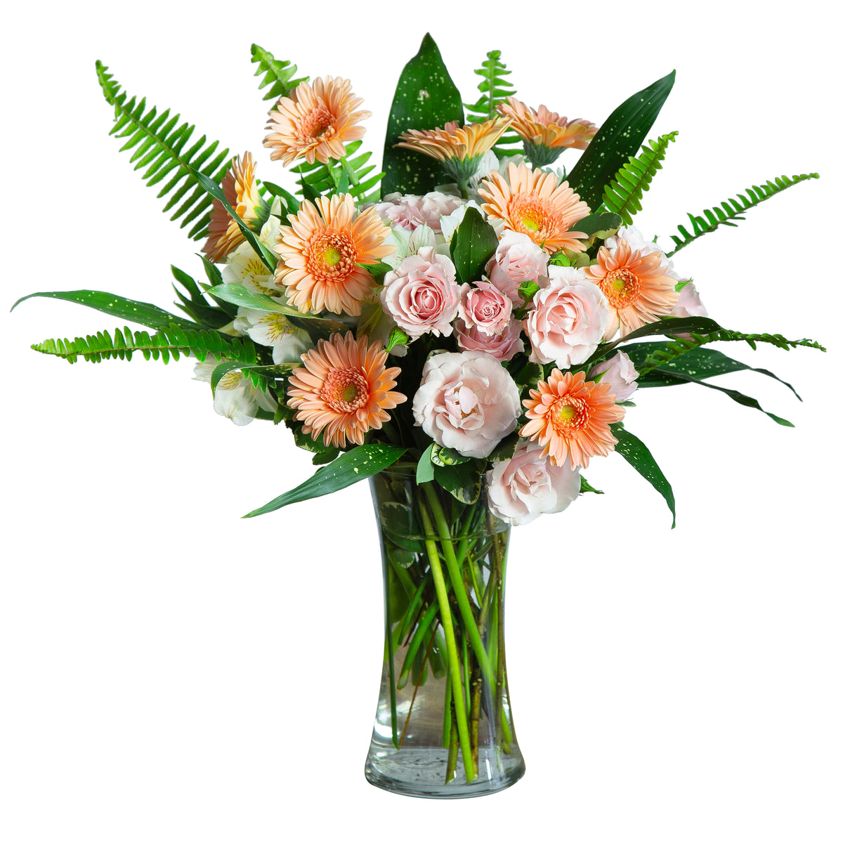 Gerbera Baby Girl – Your Beautiful Flowers, Scranton PA