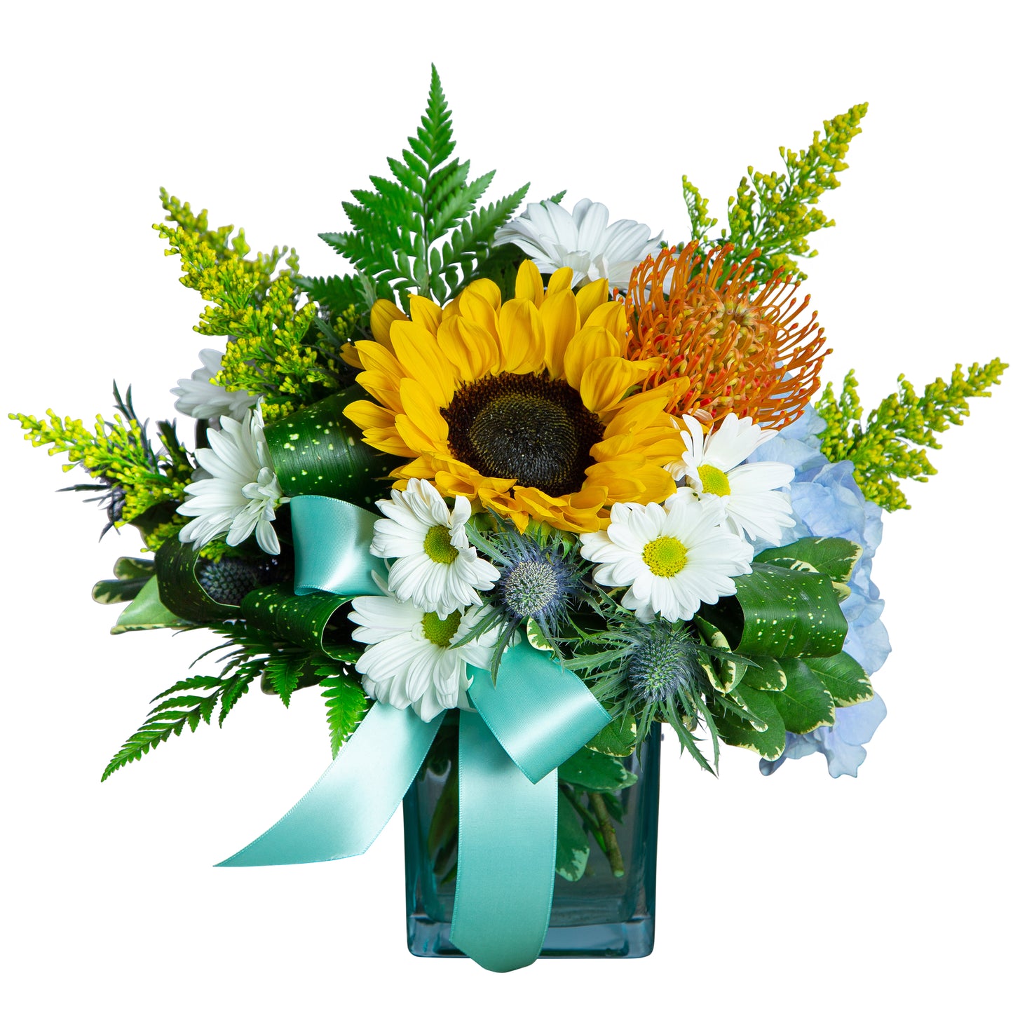 Daisy Baby – Your Beautiful Flowers, Scranton PA