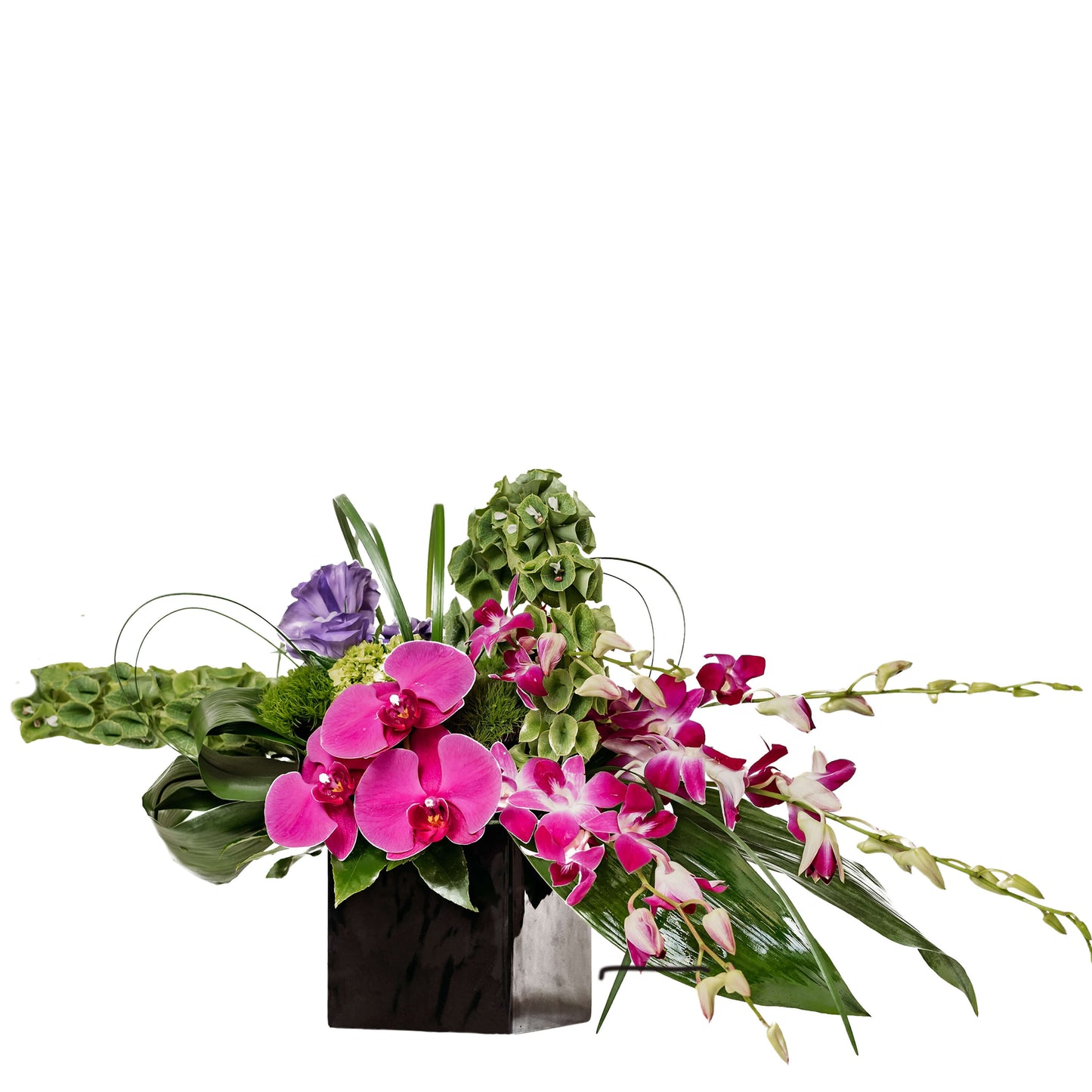 Irish Beauty – Your Beautiful Flowers, Scranton PA