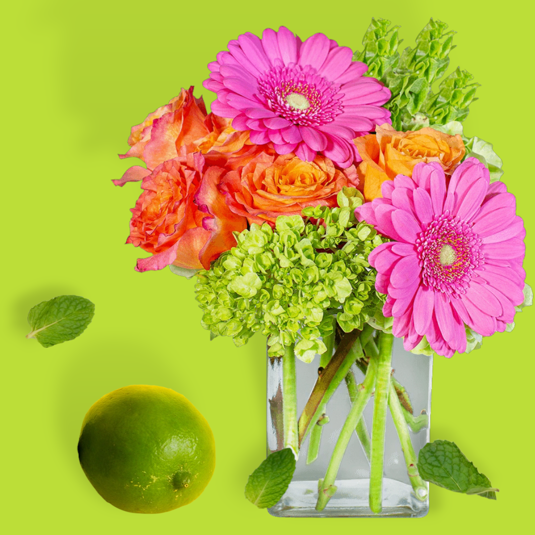 Rainbow Sherbet – Your Beautiful Flowers, Scranton PA