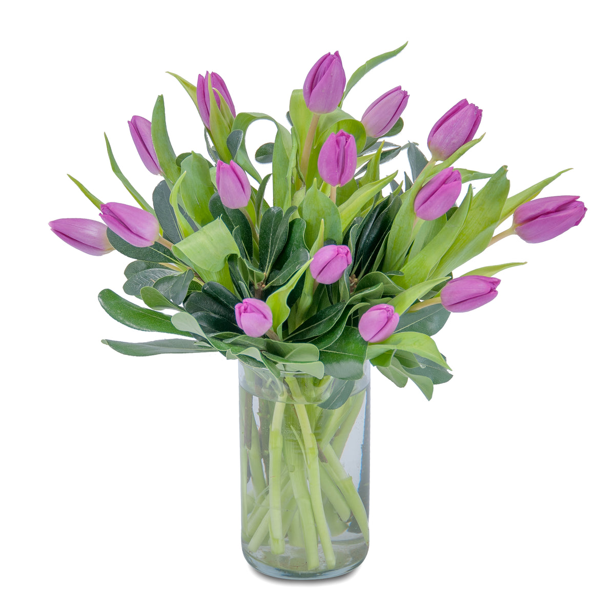 Field of Tulips – Your Beautiful Flowers, Scranton PA