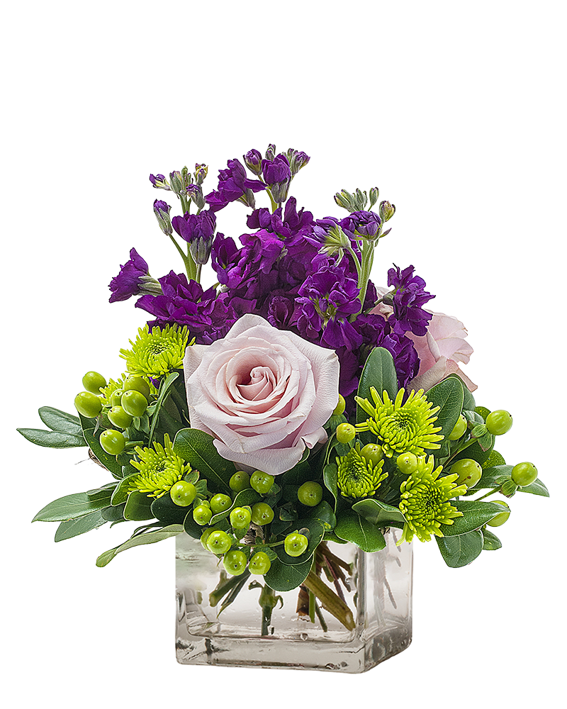 My Anna Marie – Your Beautiful Flowers, Scranton PA