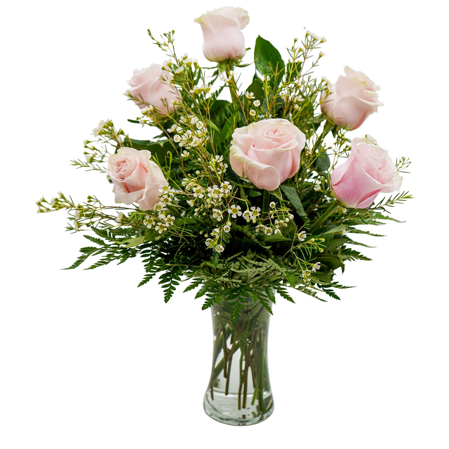 Bashful Blush – Your Beautiful Flowers, Scranton PA