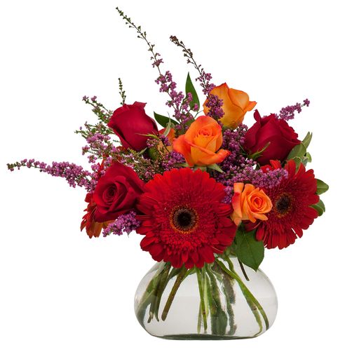 Salsa – Your Beautiful Flowers, Scranton PA