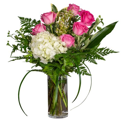 Walk in the Clouds – Your Beautiful Flowers, Scranton PA