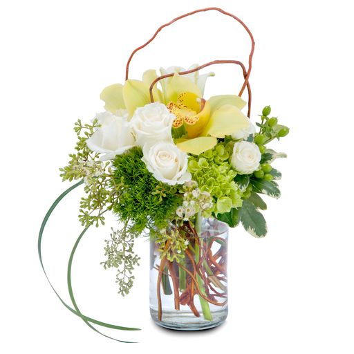 New Promise – Your Beautiful Flowers, Scranton PA
