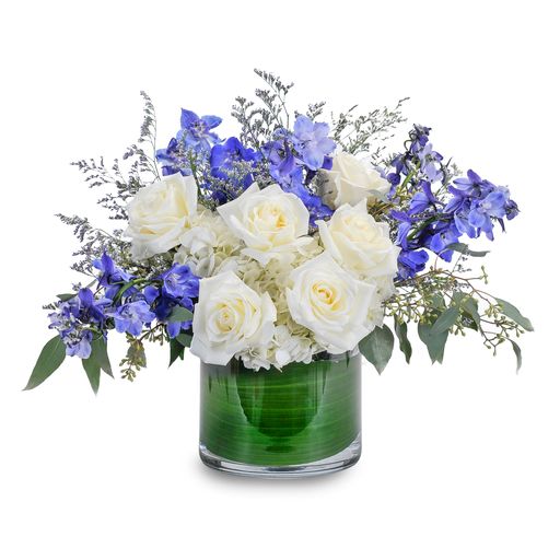 Blue Frost – Your Beautiful Flowers, Scranton PA