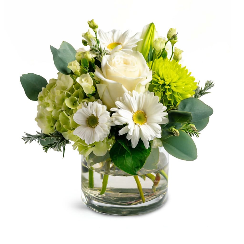 Leprechaun's Charm – Your Beautiful Flowers, Scranton PA