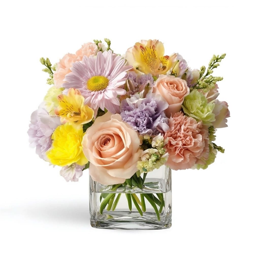 Sorbet – Your Beautiful Flowers, Scranton PA