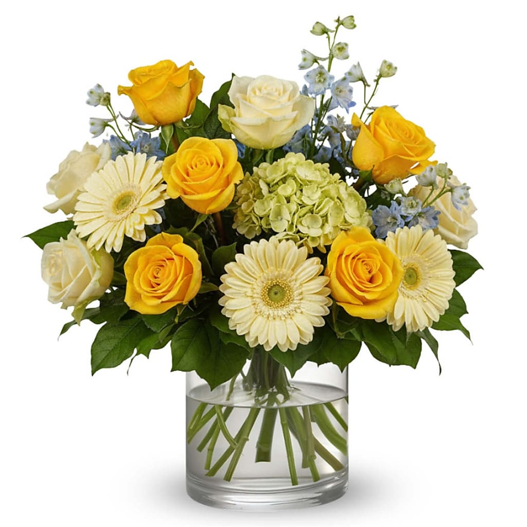 Morning Dewdrop – Your Beautiful Flowers, Scranton PA