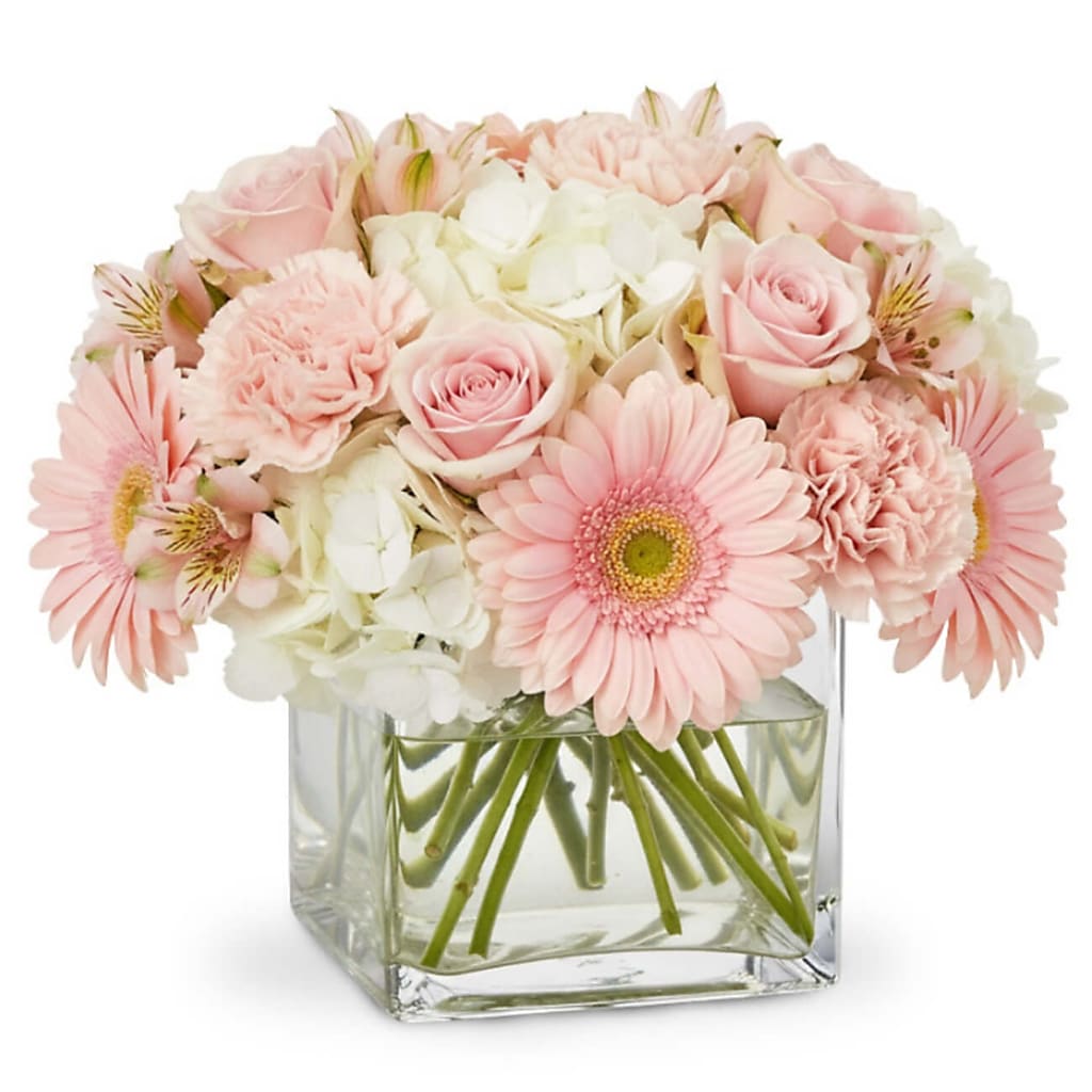 Cuddle Bug – Your Beautiful Flowers, Scranton PA