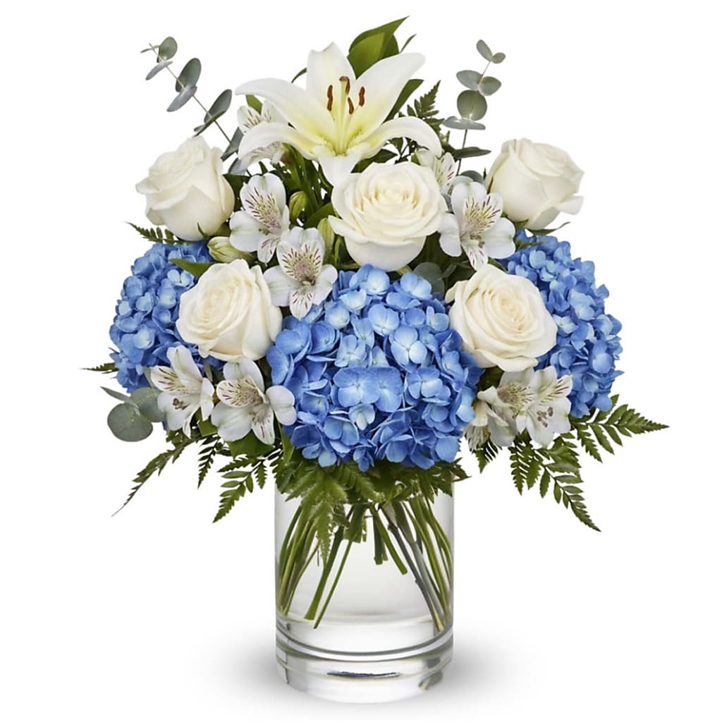 Heavenly Blue Blessing – Your Beautiful Flowers, Scranton PA