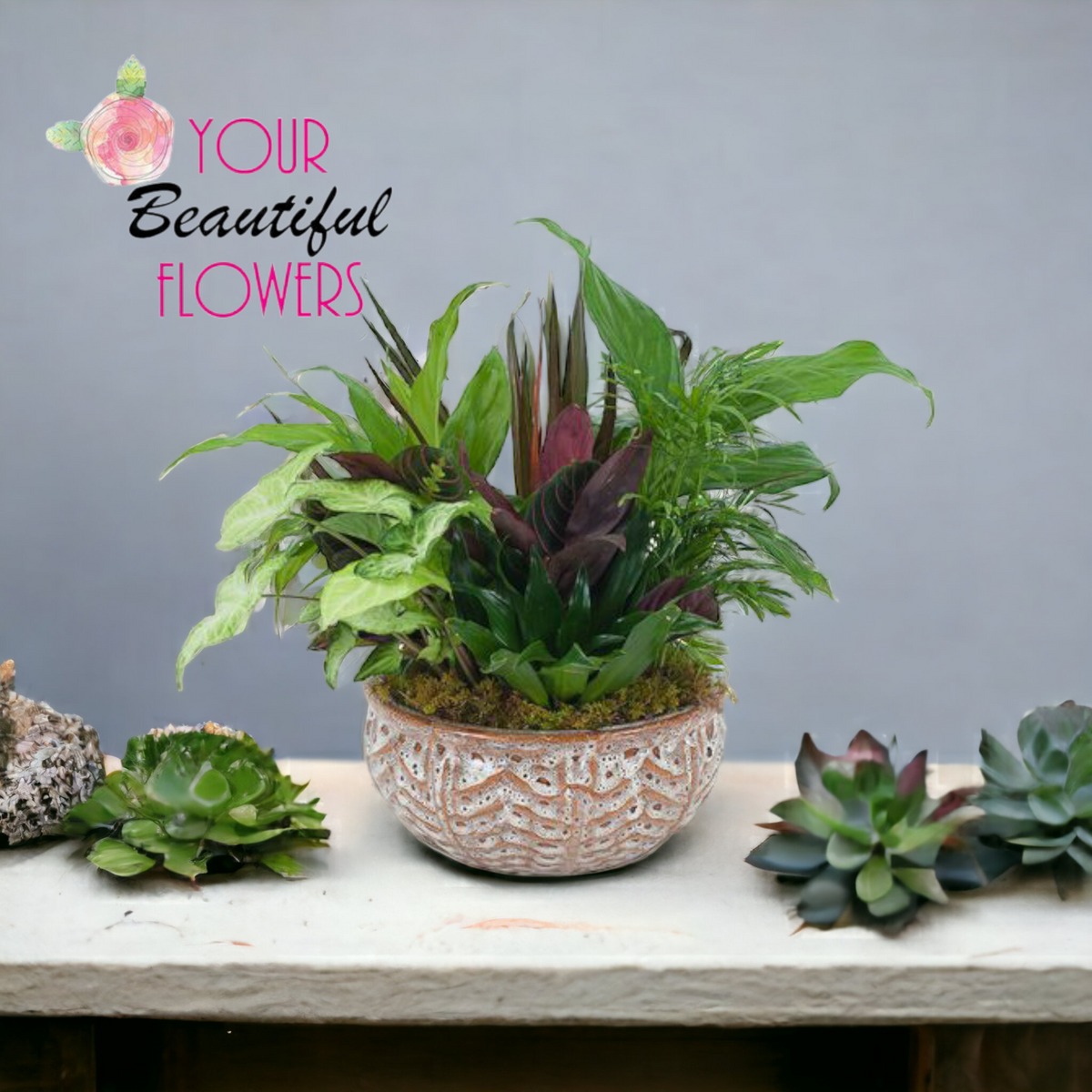 Ceramic Dish Garden – Your Beautiful Flowers, Scranton PA