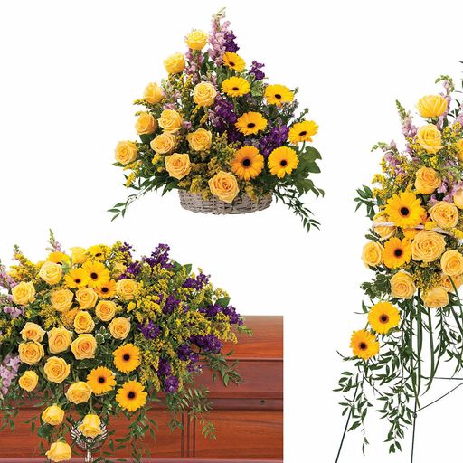 Vivid Memories Trio – Your Beautiful Flowers, Scranton PA