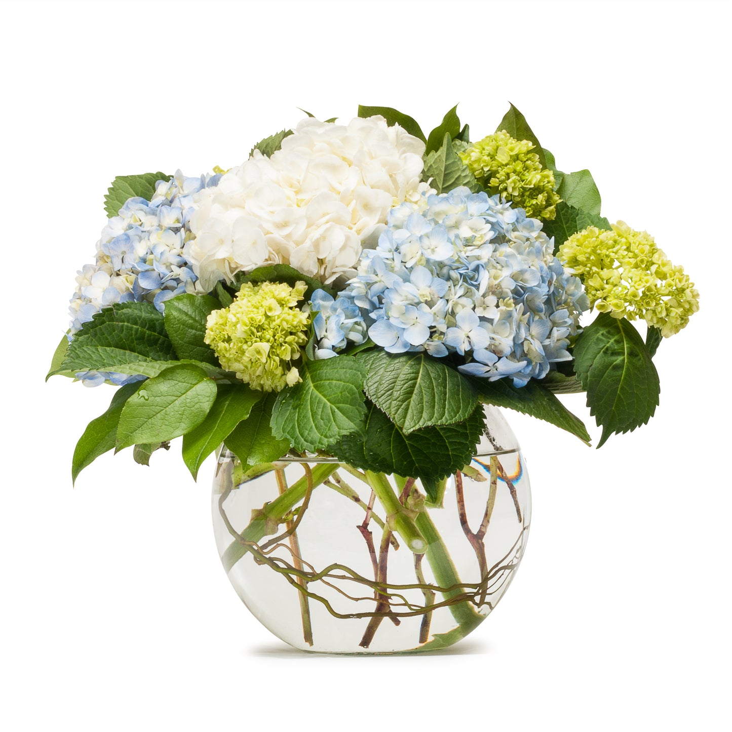 Mighty Hydrangea – Your Beautiful Flowers, Scranton PA