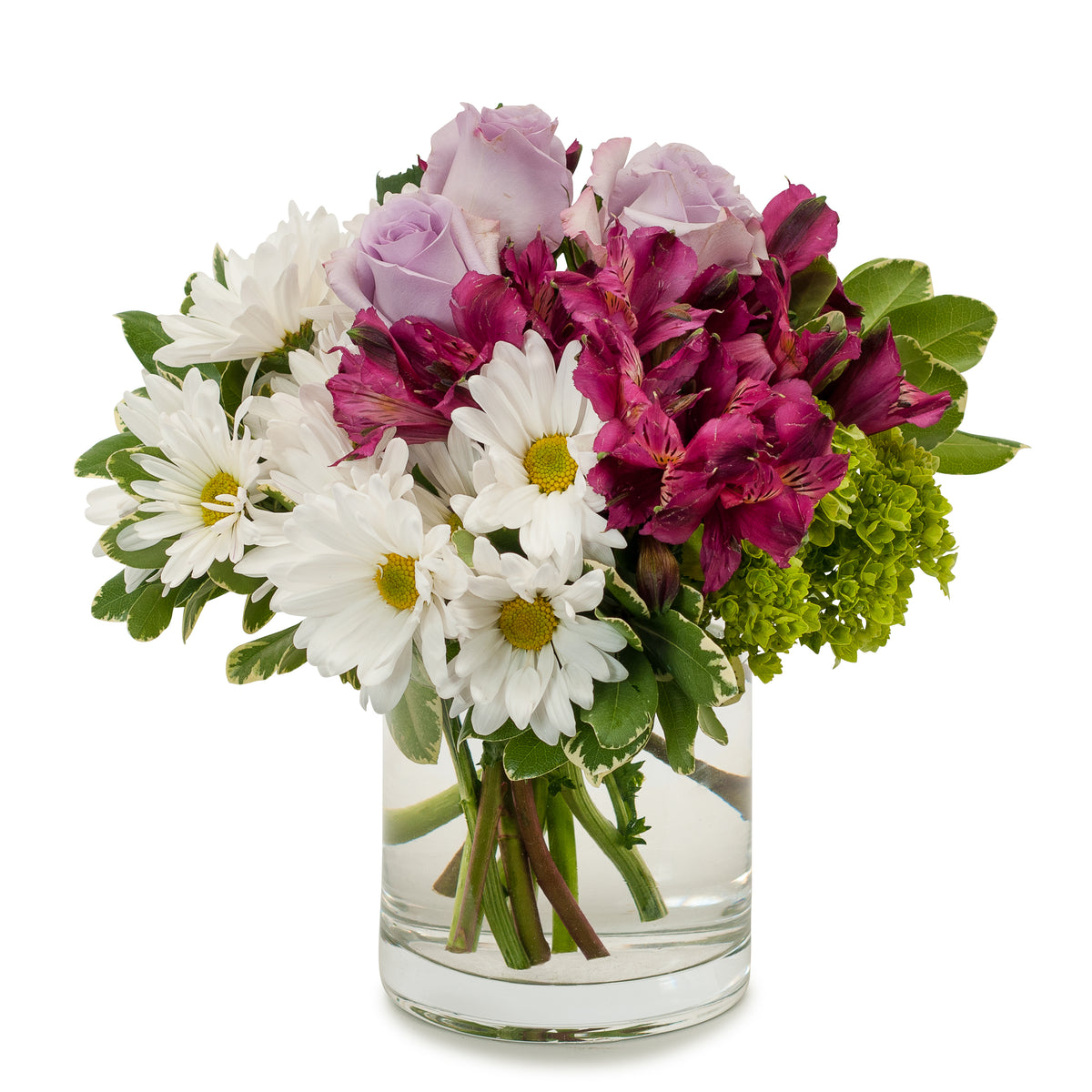 Raspberry – Your Beautiful Flowers, Scranton PA