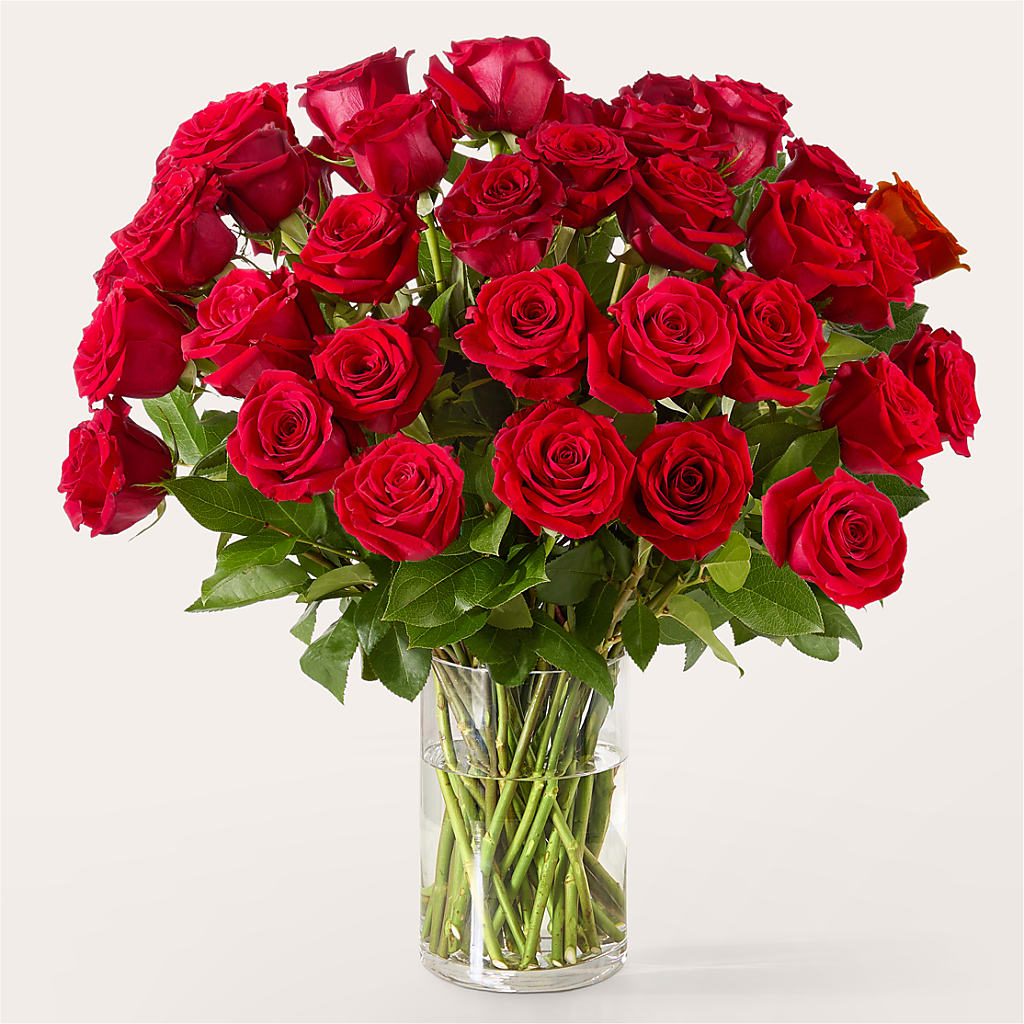 The One Red Rose Bouquet – Your Beautiful Flowers, Scranton PA