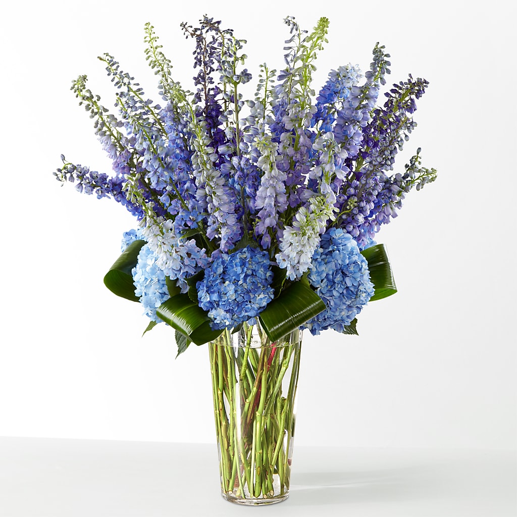 The Editorial – Your Beautiful Flowers, Scranton PA