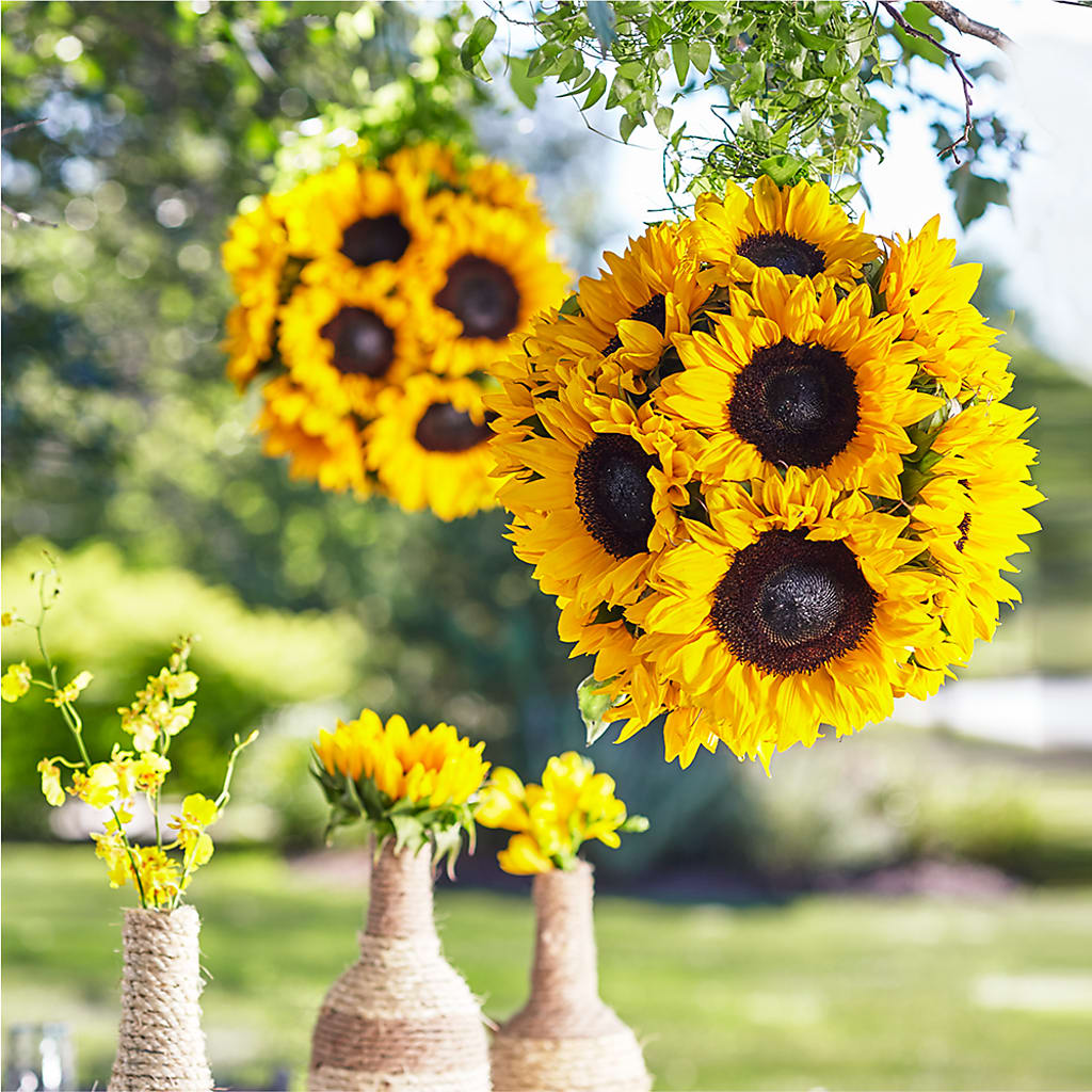 Sublime Garden Hanging Arrangement – Your Beautiful Flowers, Scranton PA