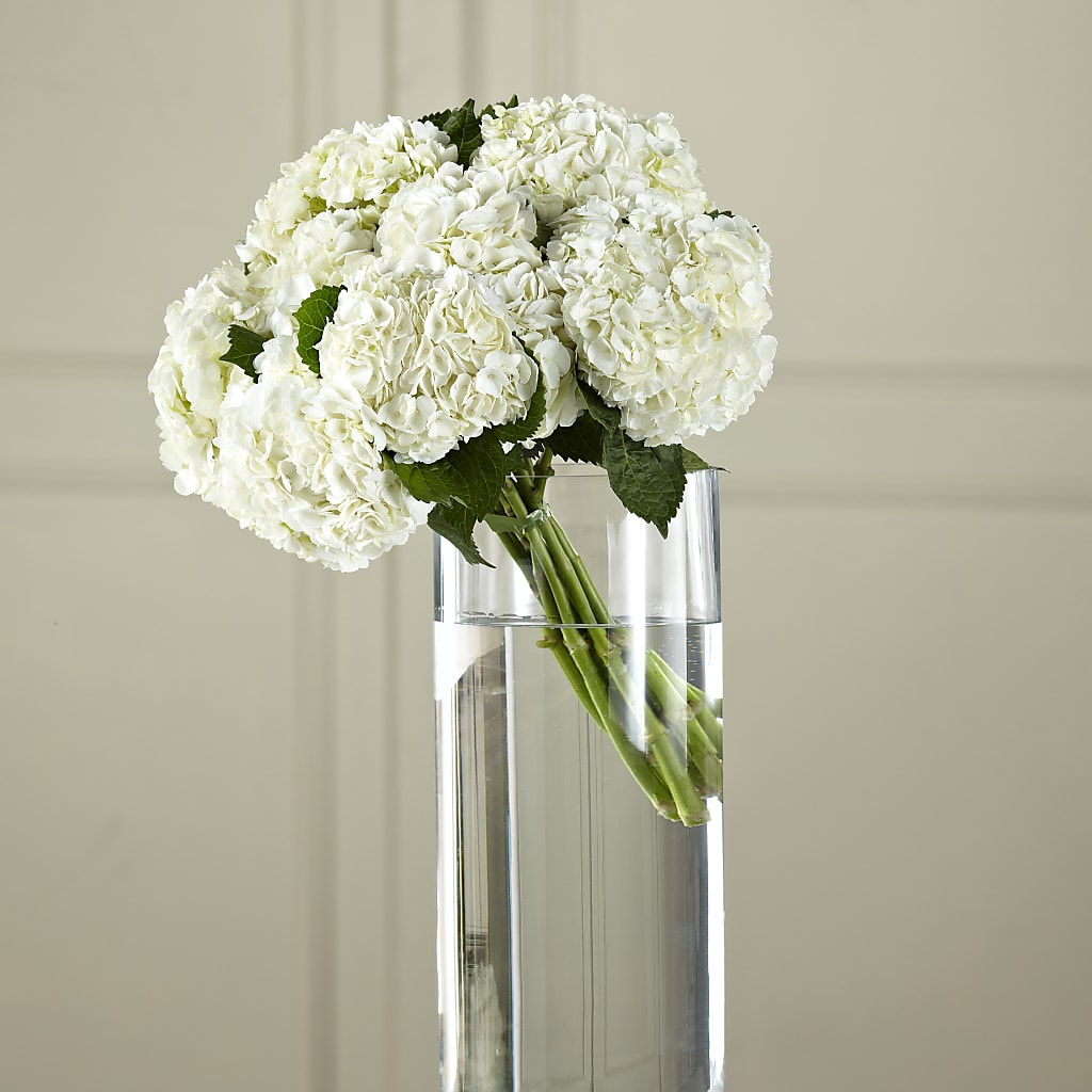 White Hydrangea Hand-Tied Bouquet – Your Beautiful Flowers, Scranton PA