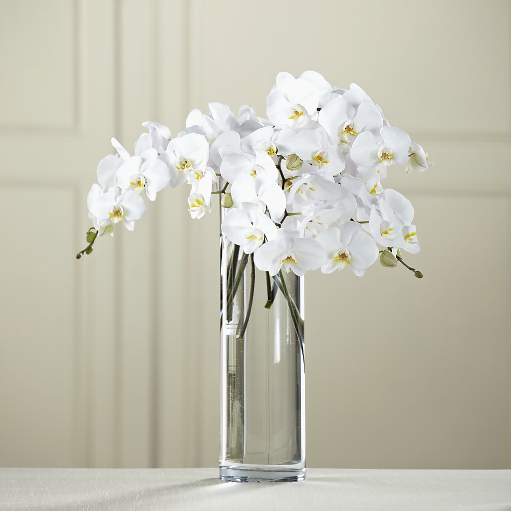 White Phalaenopsis Bouquet – Your Beautiful Flowers, Scranton PA