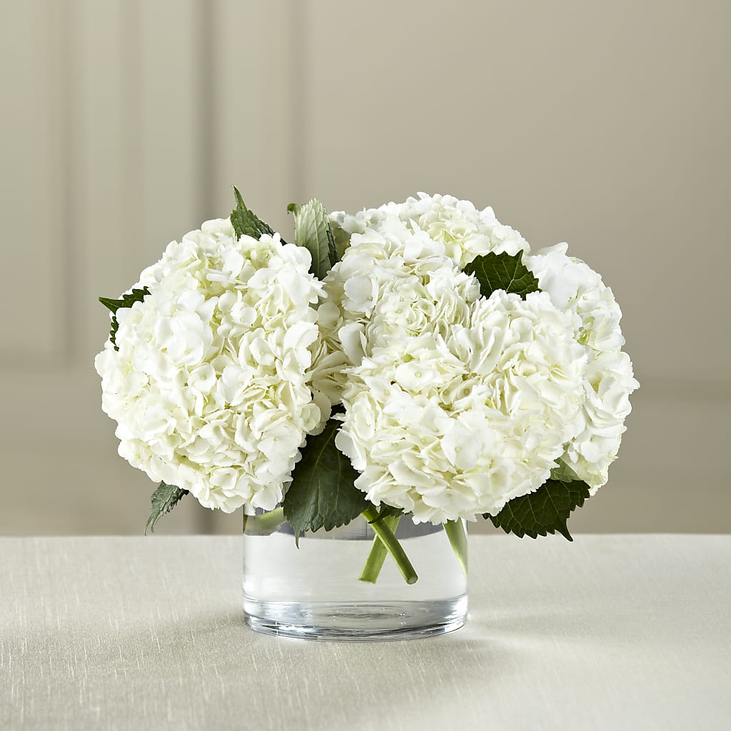 White Hydrangea Bouquet – Your Beautiful Flowers, Scranton PA