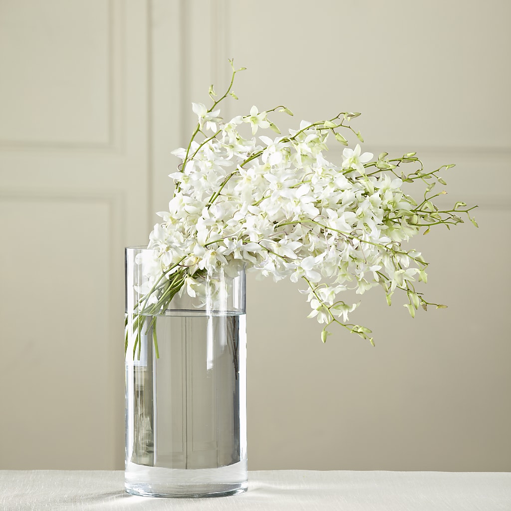 White Dendrobium Bouquet – Your Beautiful Flowers, Scranton PA