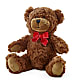 Adorable Plush Bear –  Your Beautiful Flowers, Scranton PA