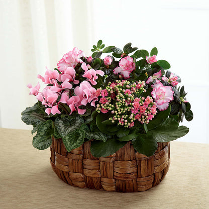 Pink Assortment –  Your Beautiful Flowers, Scranton PA