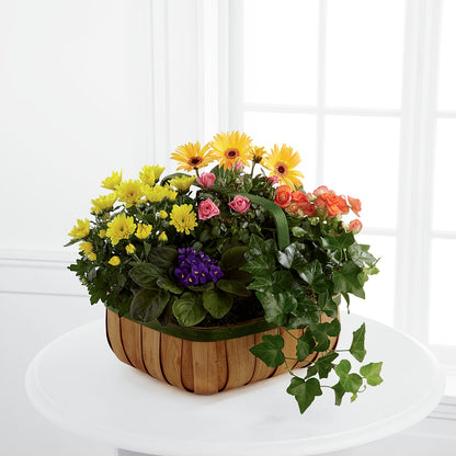 Gentle Blossoms Basket –  Your Beautiful Flowers, Scranton PA
