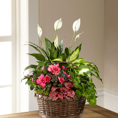 Dream in Pink Dishgarden –  Your Beautiful Flowers, Scranton PA