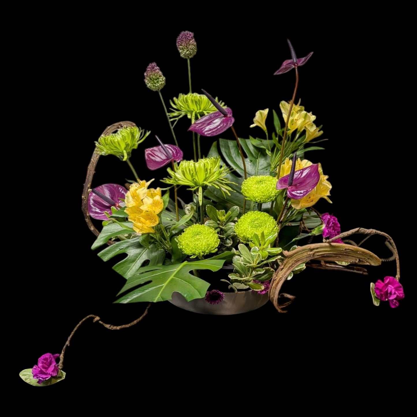Designer's Choice - Autumn