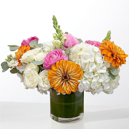 The Meet Cute –  Your Beautiful Flowers, Scranton PA