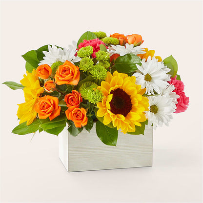 Sun-drenched Blooms Box Bouquet –  Your Beautiful Flowers, Scranton PA