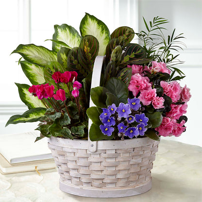 Peaceful Garden Planter –  Your Beautiful Flowers, Scranton PA