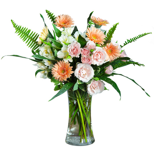 Sweet Gerbera Baby