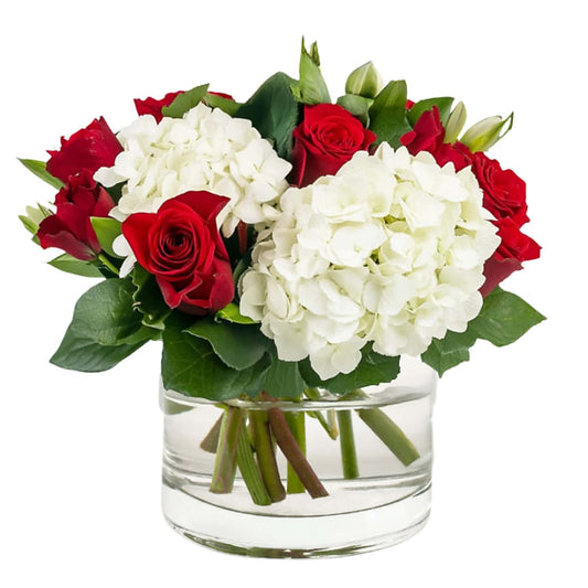 True North Blooms –  Your Beautiful Flowers, Scranton PA