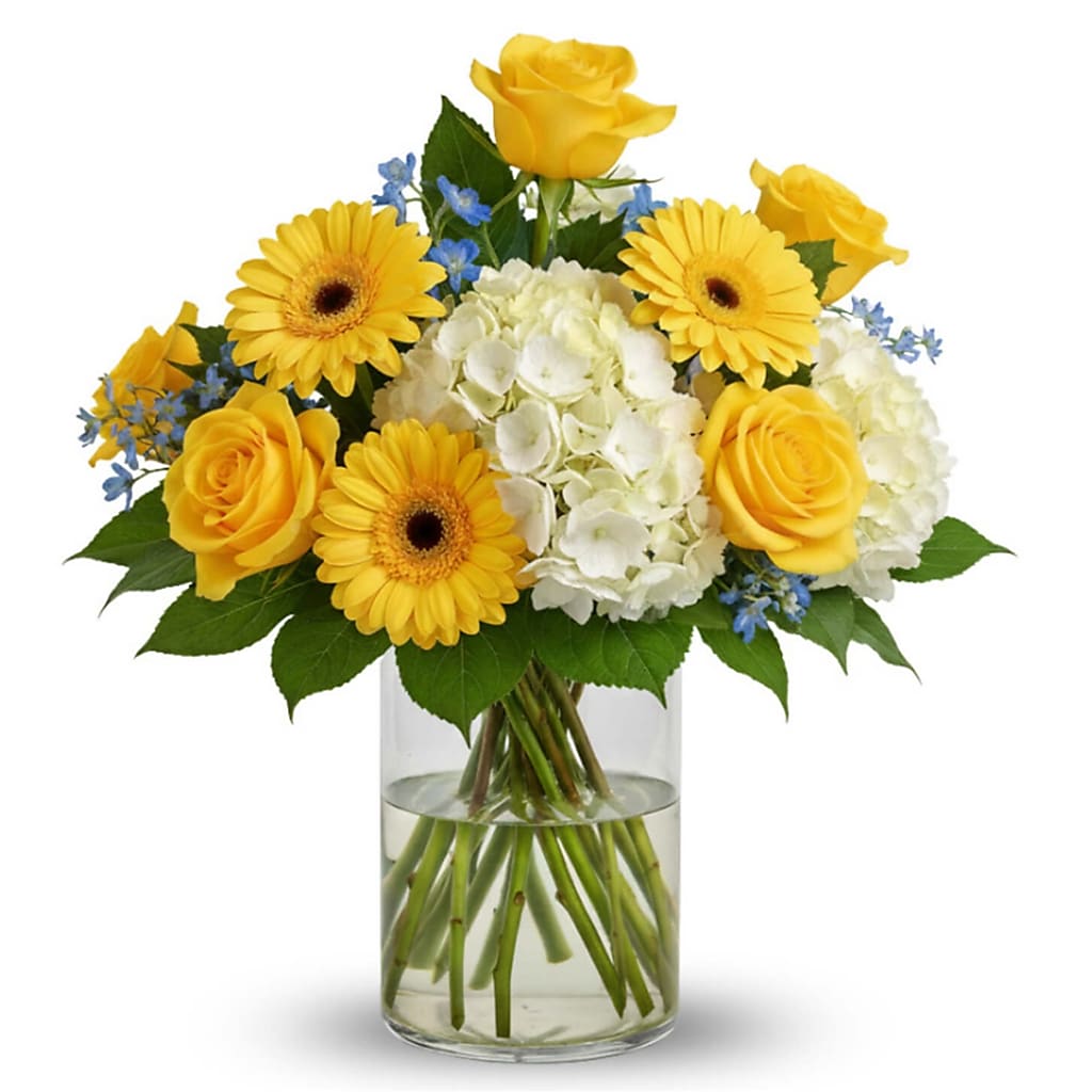 Little Ray of Sunshine