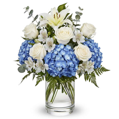 Heavenly Blue Blessing