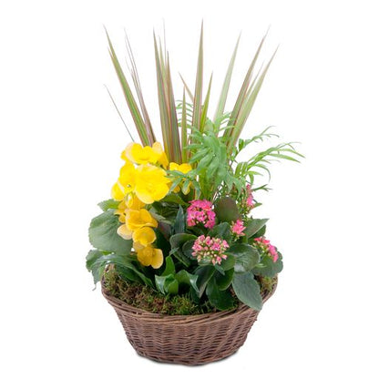 Bloomin' Sunshine Basket –  Your Beautiful Flowers, Scranton PA