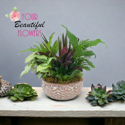 Ceramic Dish Garden