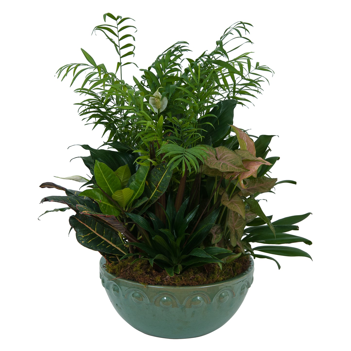 Ceramic Dish Garden